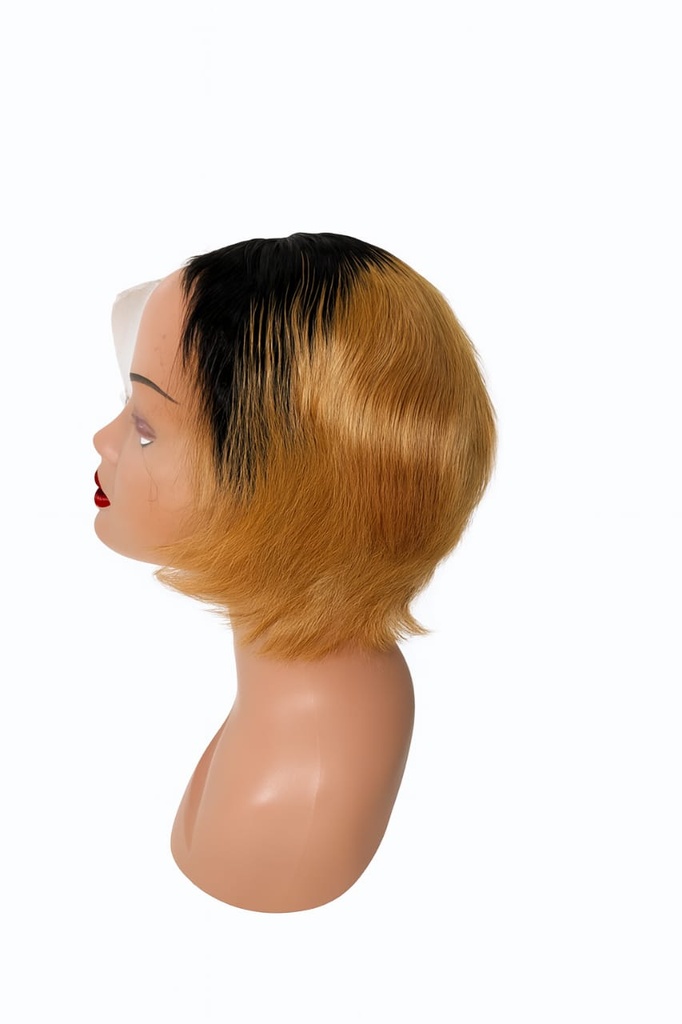 Sunset Melt 13x4 Lace Front